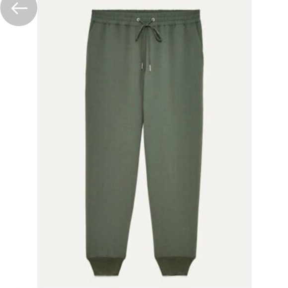 Aritzia Wilfred Green Jogger Buffon Pants - Picture 5 of 11